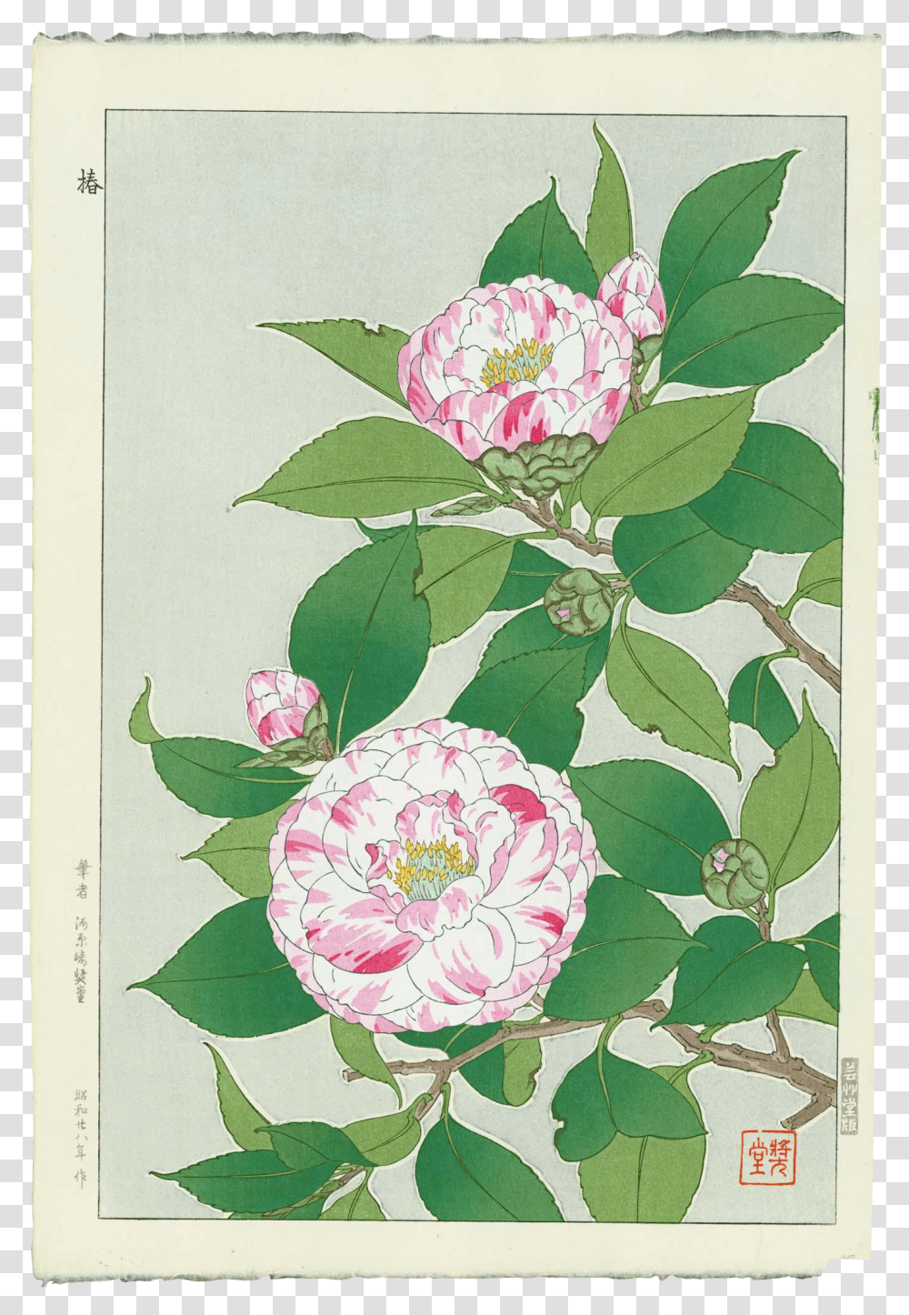Japanese Art, Plant, Flower, Rose, Dahlia Transparent Png