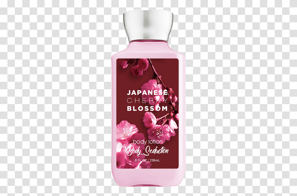 Japanese Cherry Bloom Body Seduction, Plant, Flower, Blossom, Petal Transparent Png