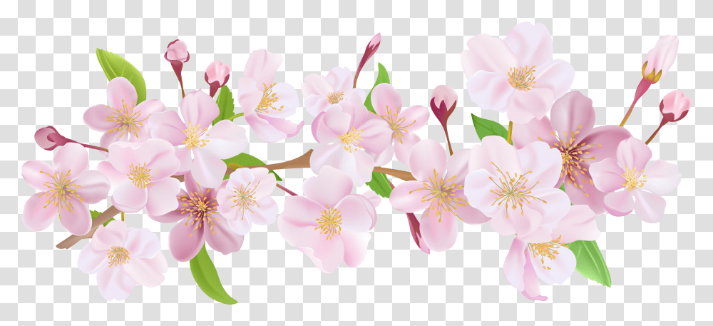 Japanese Cherry Blossom Cherry Blossom Flower Crown Transparent Png