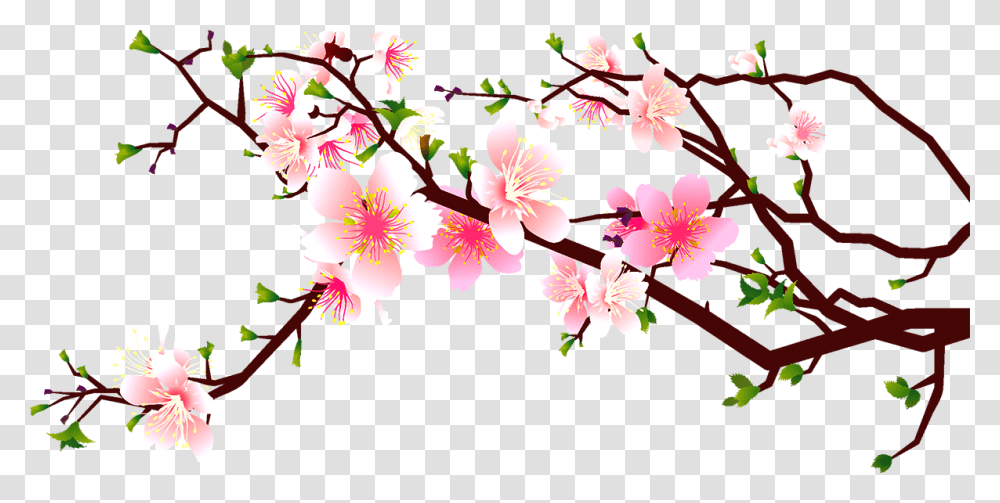 Japanese Cherry Blossom Clip Black And White Download, Plant, Flower Transparent Png