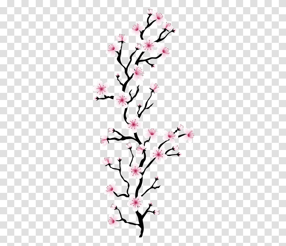 Japanese Cherry Blossom Flower Wall Decal Japanese Cherry Blossom Transparent Png