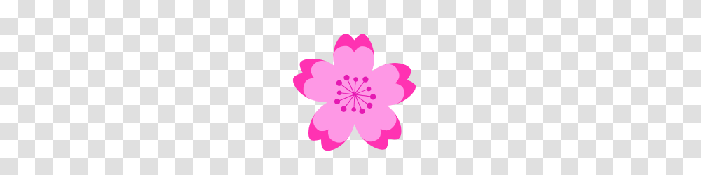 Japanese Cherry Blossom, Petal, Flower, Plant, Anther Transparent Png