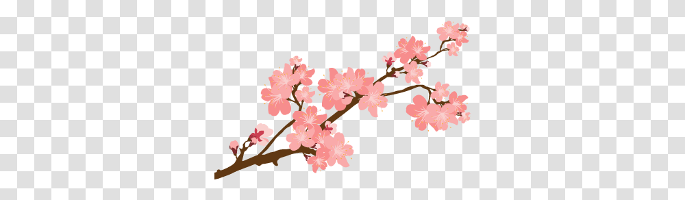 Japanese Cherry Tree Sticker, Plant, Flower, Blossom, Cherry Blossom Transparent Png