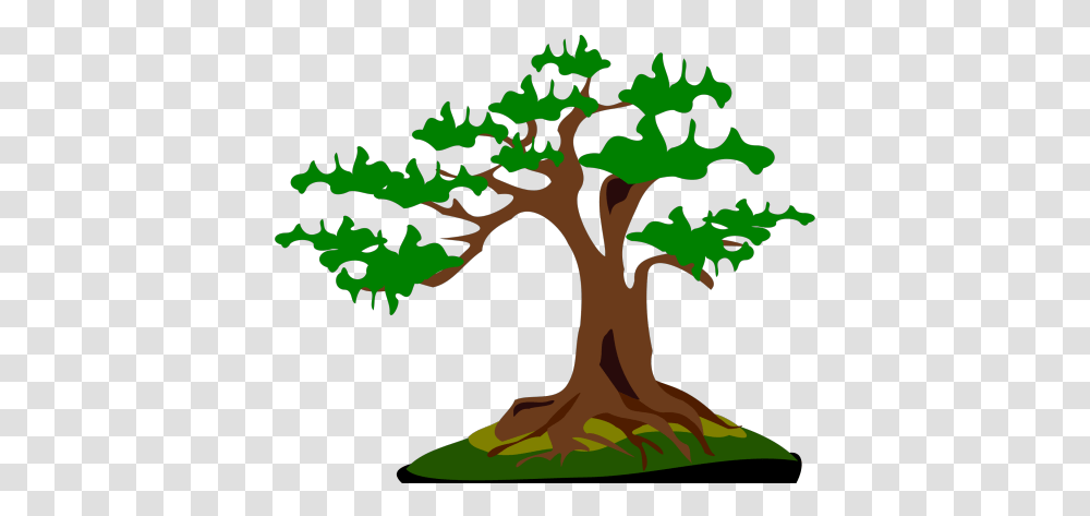 Japanese Clipart Tree Bonsai Vector Bonzai Tree Cartoon, Plant, Oak, Tree Trunk, Sycamore Transparent Png