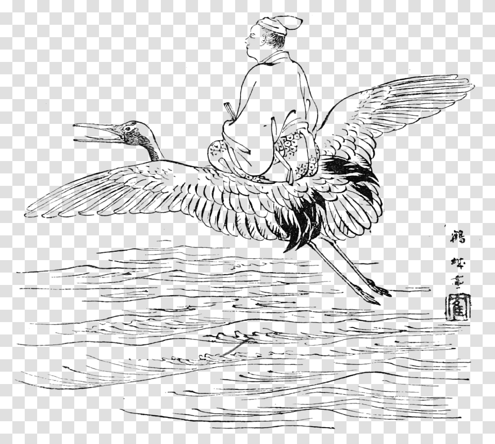 Japanese Fairy Book Abuledu, Bird, Animal, Waterfowl, Flying Transparent Png