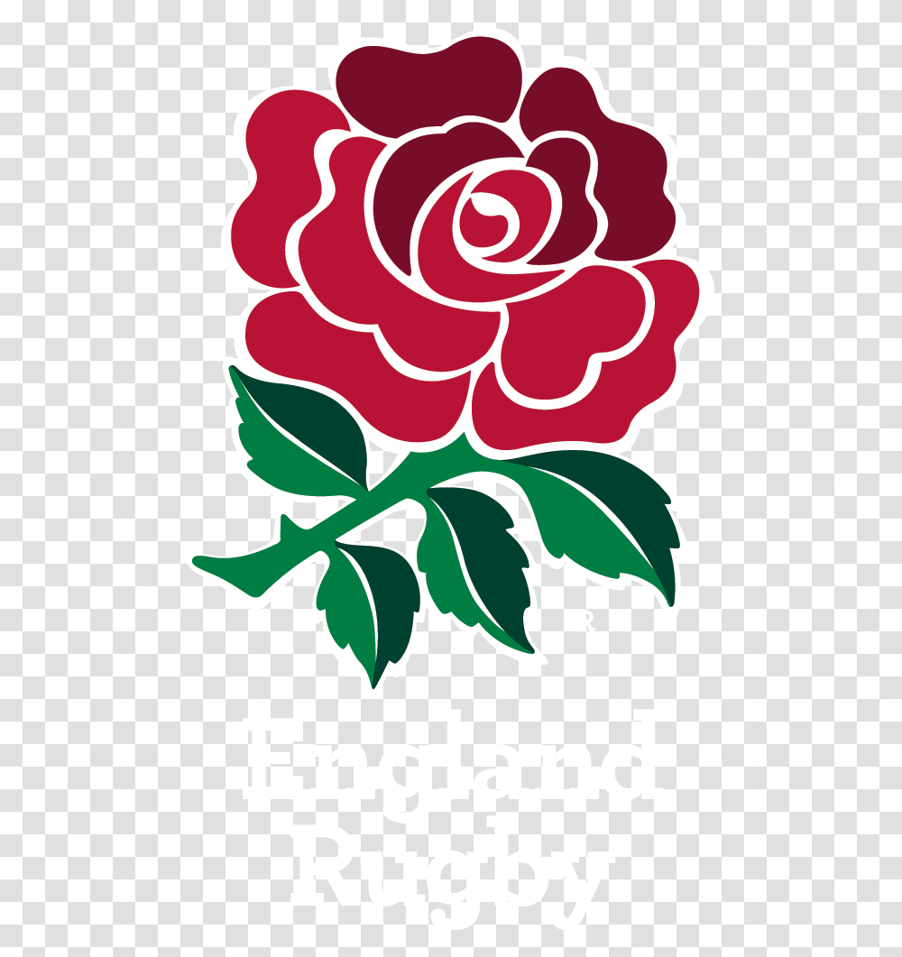 Japanese Flower Red Rose England Rugby, Floral Design, Pattern Transparent Png