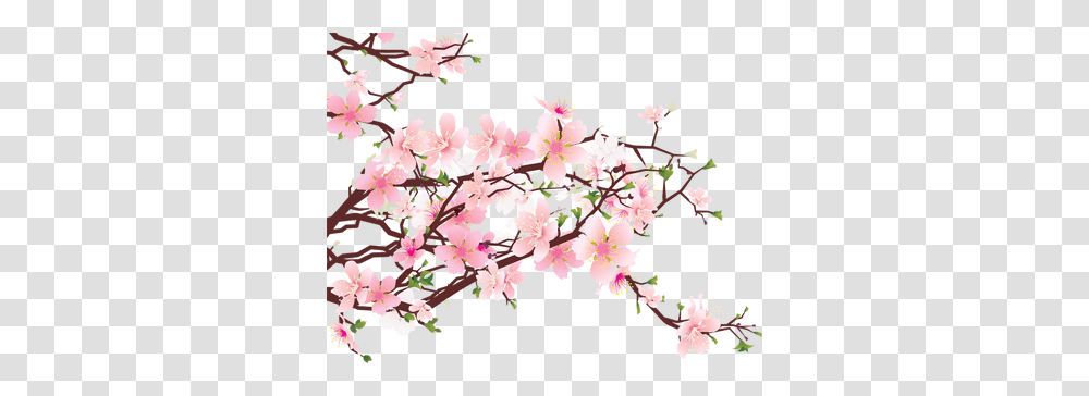 Japanese Flowers On Tree, Plant, Blossom, Cherry Blossom, Petal Transparent Png