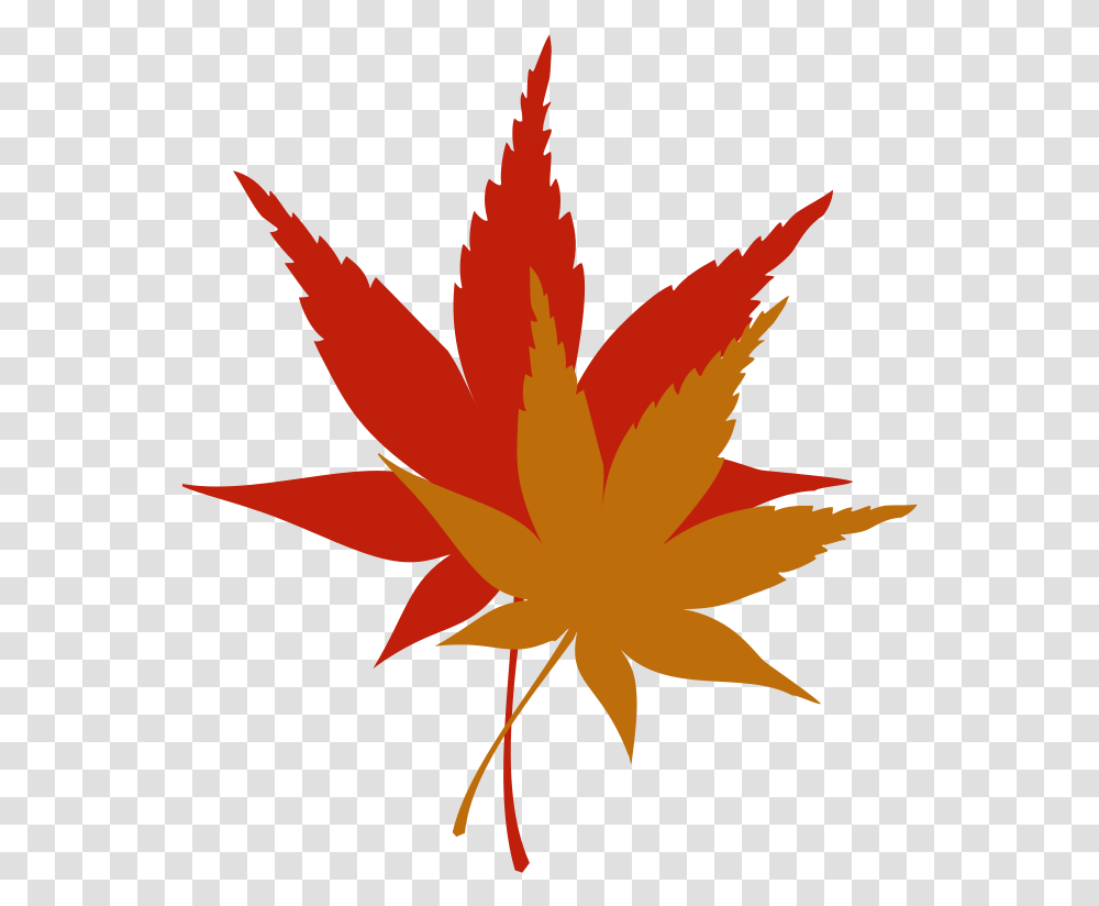 Japanese Maple Leaf Free Clip, Plant, Tree, Bird, Animal Transparent Png