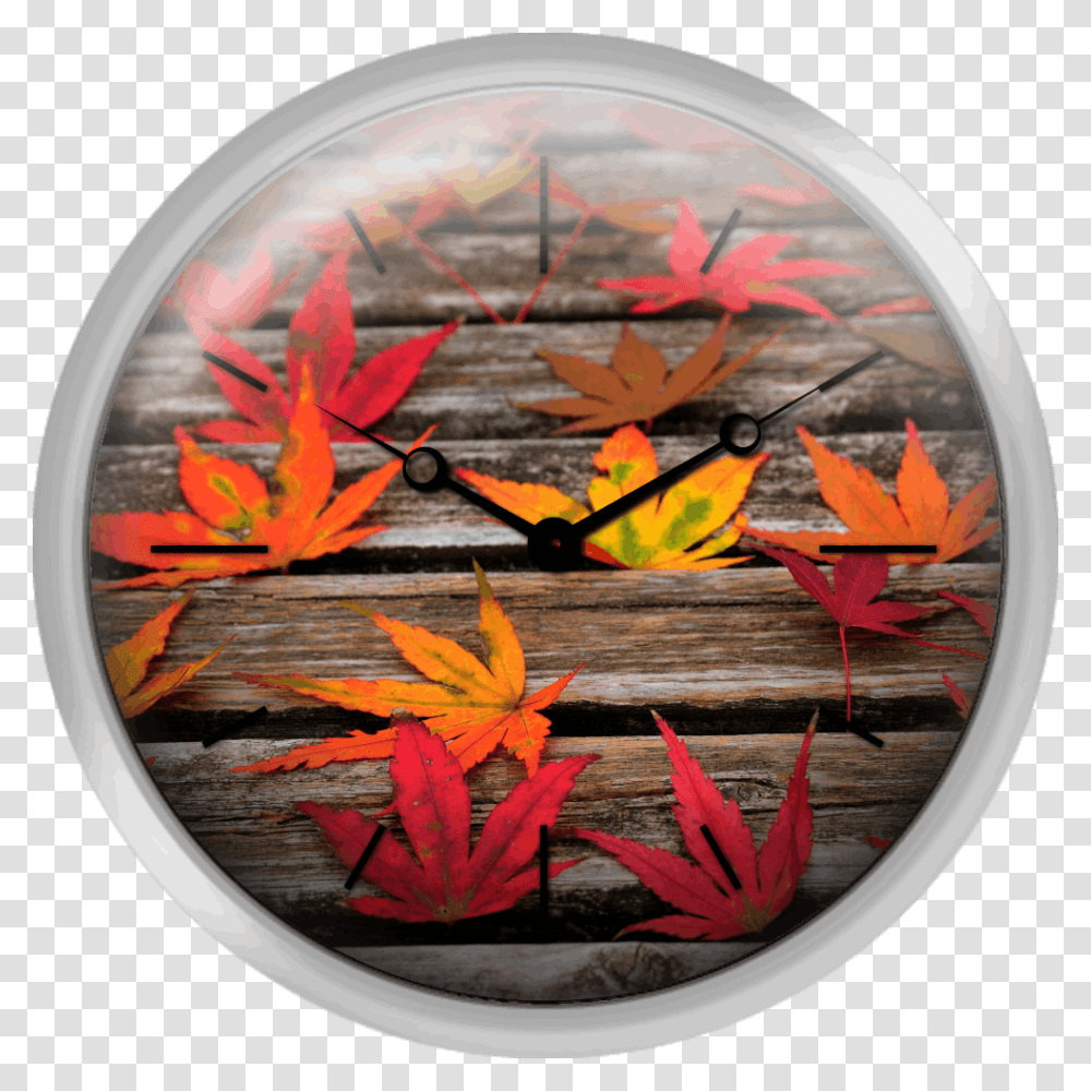 Japanese Maple Leaves Wall Clock, Leaf, Plant, Tree, Maple Leaf Transparent Png