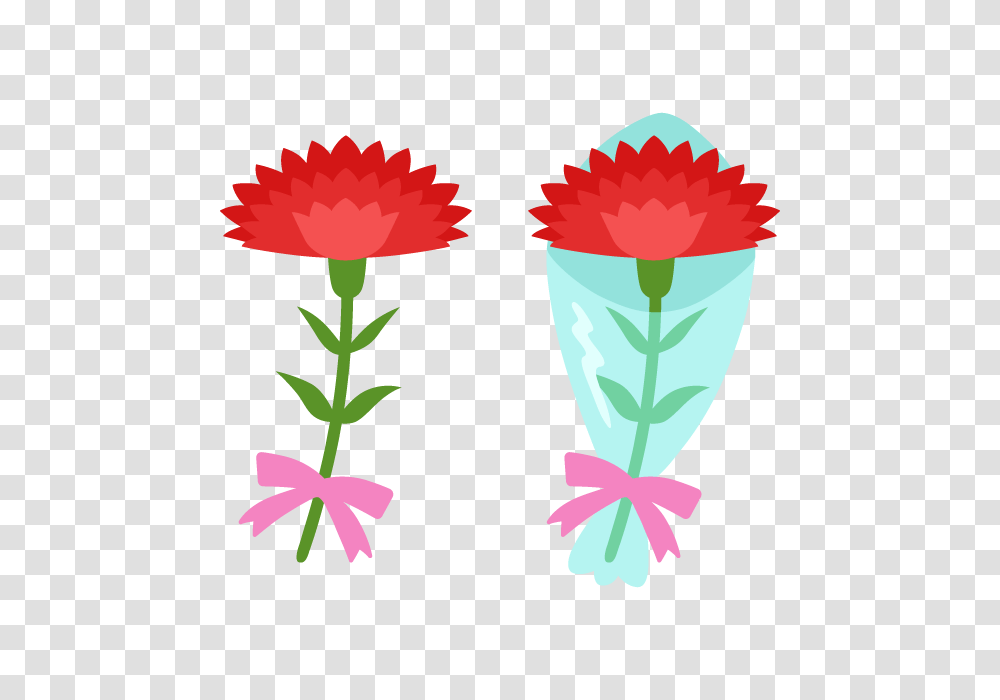 Japanese Mothers Day Red Carnation Free And Vector, Plant, Flower, Daisy, Petal Transparent Png