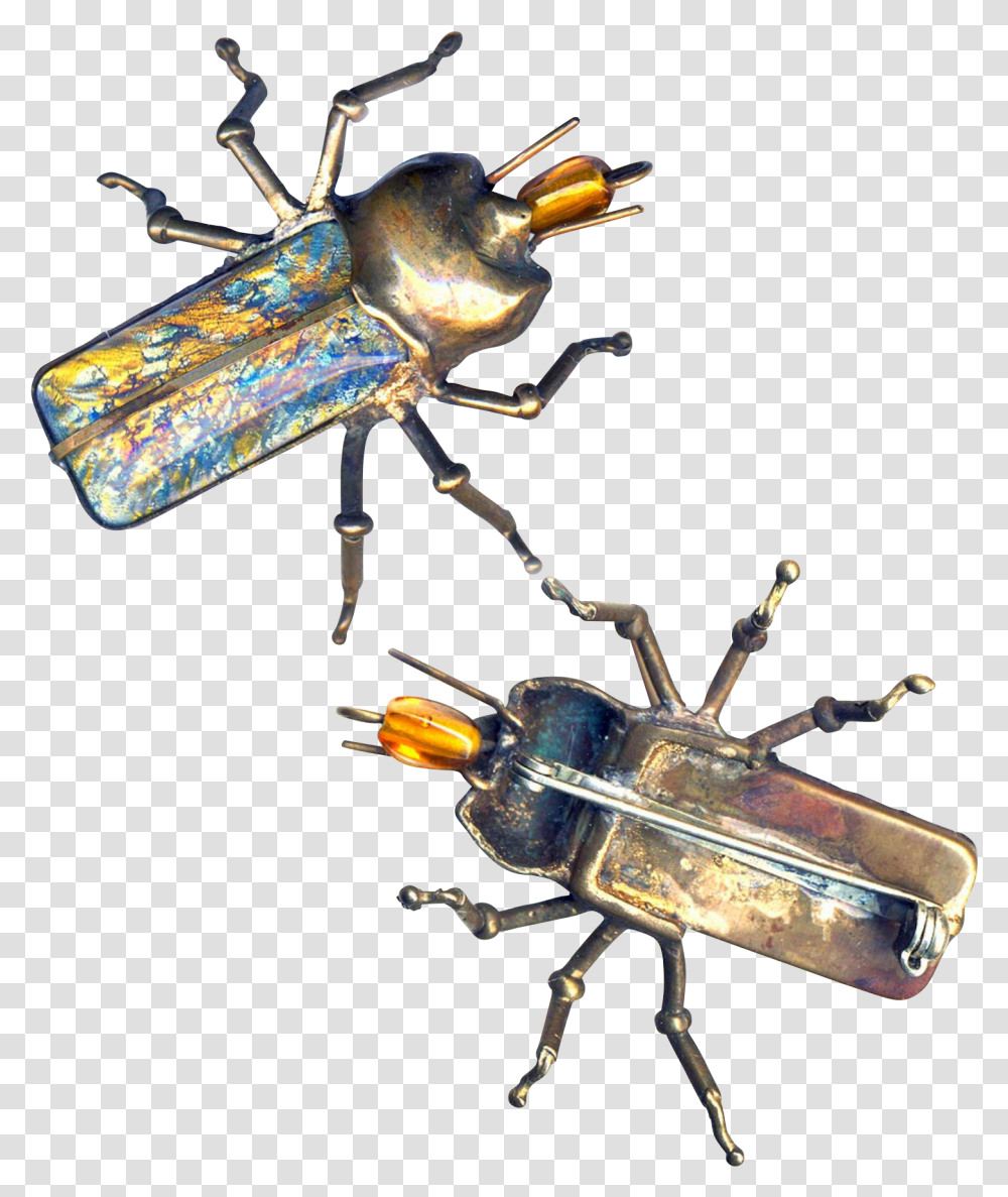 Japanese Rhinoceros Beetle, Insect, Invertebrate, Animal, Firefly Transparent Png