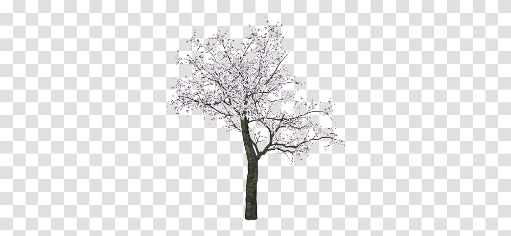 Japanese Tree Blossom Tree Drawing Black And White, Plant, Cross, Symbol, Flower Transparent Png