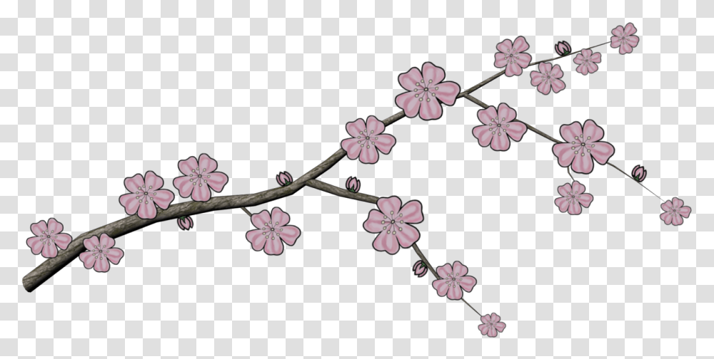Japanese Tree Branch Cherry Blossom, Plant, Flower, Petal, Geranium Transparent Png