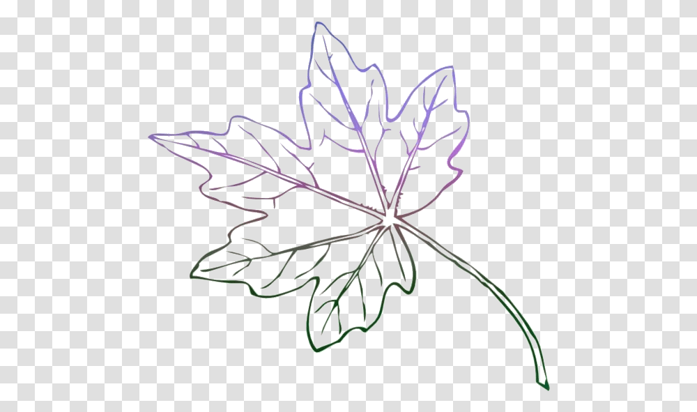 Japanese Tree Images Fall Leaf Outline, Plant, Maple Leaf, Spider, Invertebrate Transparent Png