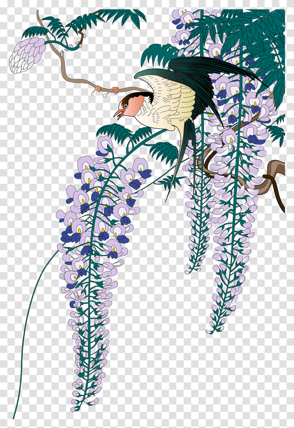 Japanese Wisteria And Bird Clipart Sketch, Floral Design, Pattern, Graphics, Plant Transparent Png