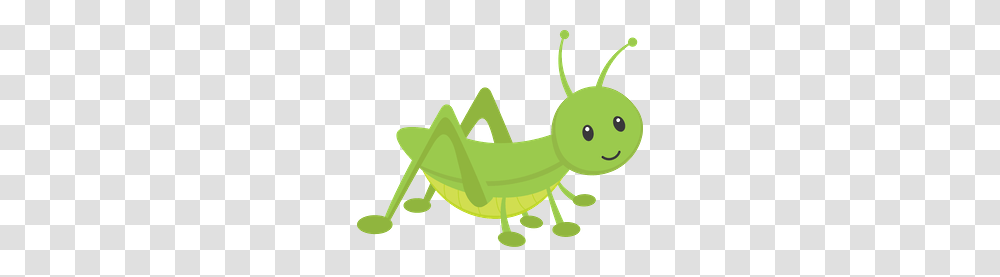 Jardim, Invertebrate, Animal, Insect, Grasshopper Transparent Png