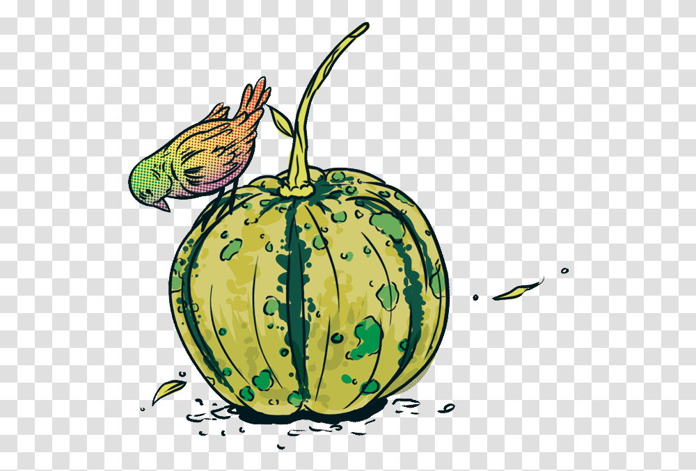 Jarrybriefs Vegan Pumpkin Illustration, Plant, Gourd, Produce, Vegetable Transparent Png