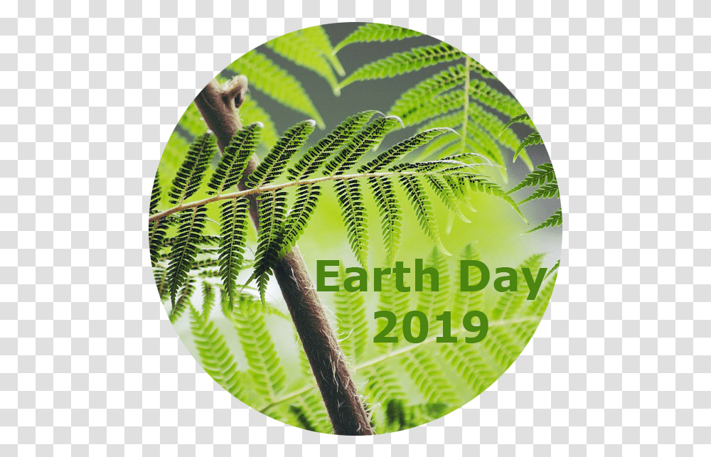 Jasco Cleans Up For Earth Day End We Only Regret The Chances We Didn't Take, Vegetation, Plant, Green, Tree Transparent Png
