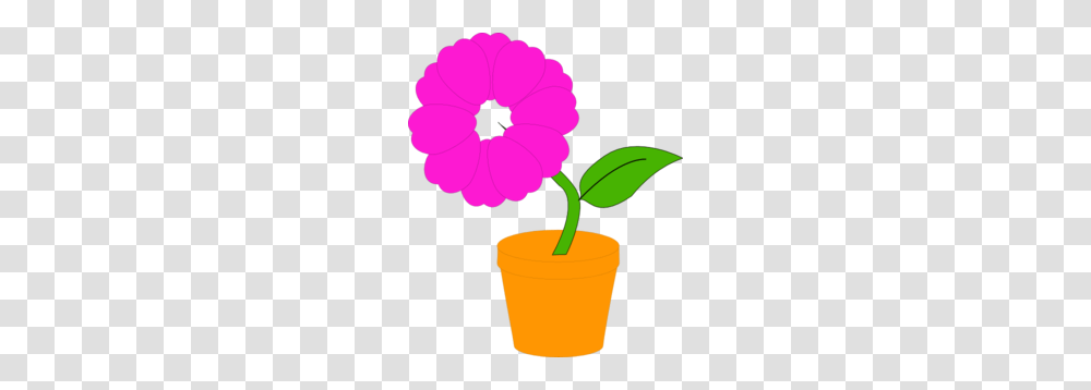 Jasmine Flower Clip Art, Plant, Blossom, Carnation, Daisy Transparent Png