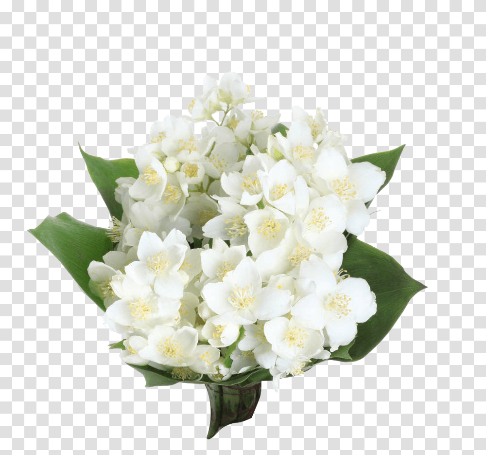 Jasmine Flower Free For Jasmine Flower Bouquet, Plant, Flower Arrangement, Petal, Floral Design Transparent Png