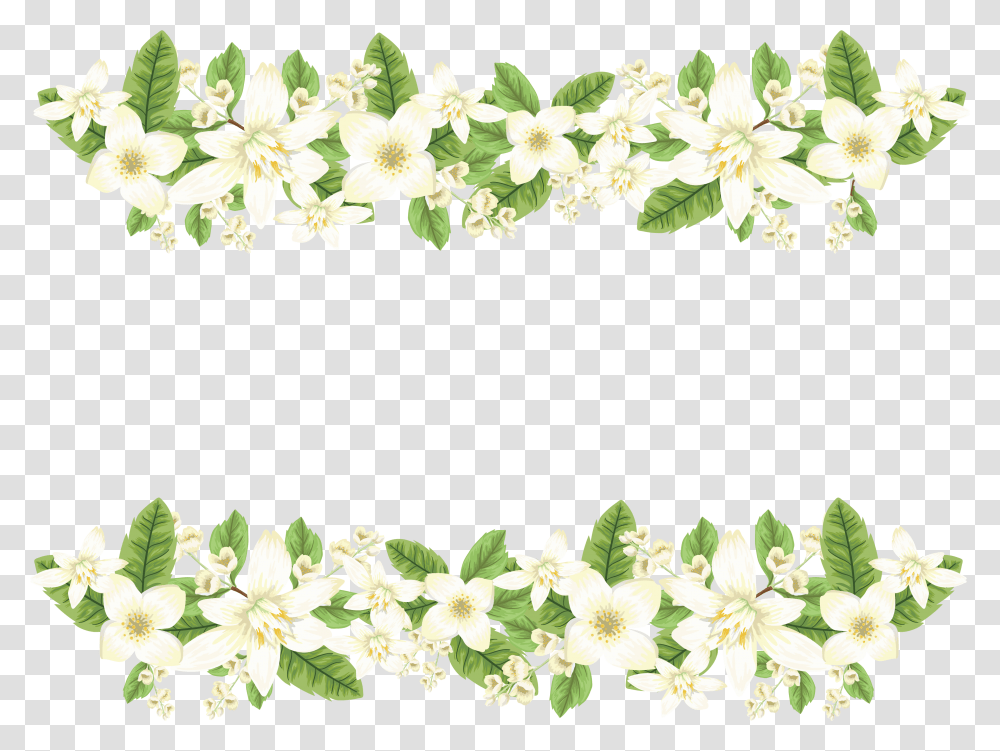 Jasmine Flower Jasmine Flowers, Plant, Petal, Apiaceae, Pattern Transparent Png