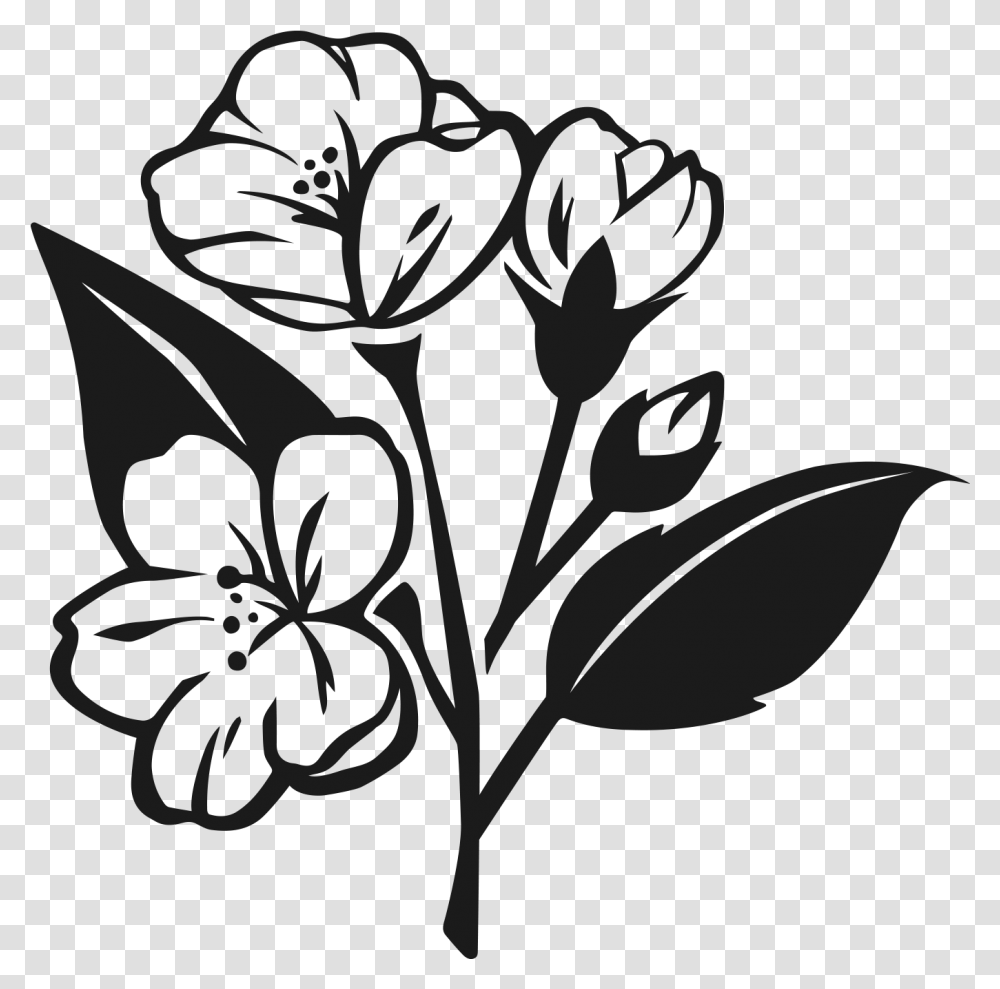 Jasmine Flower Vector Black White, Plant, Floral Design Transparent Png