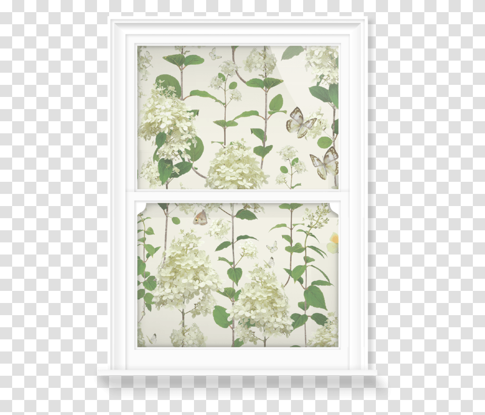 Jasmine, Floral Design, Pattern Transparent Png