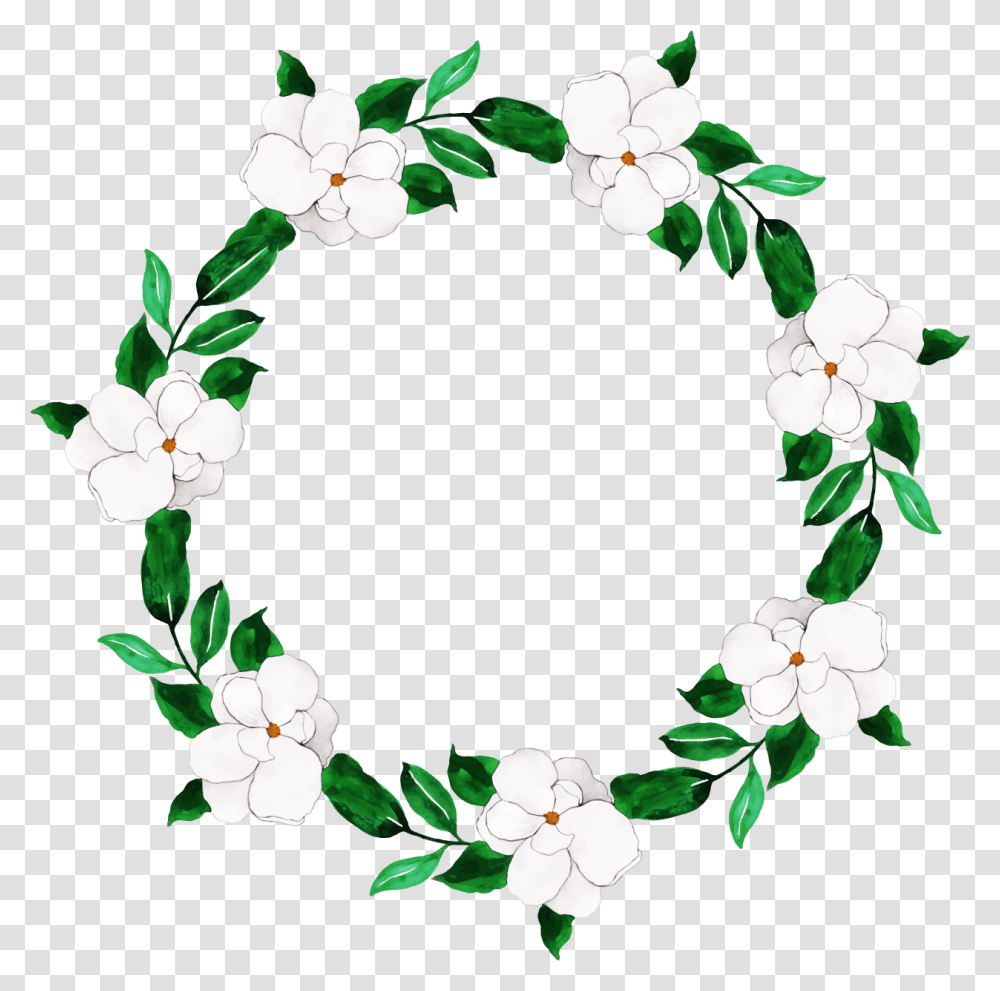 Jasmine, Floral Design, Pattern Transparent Png