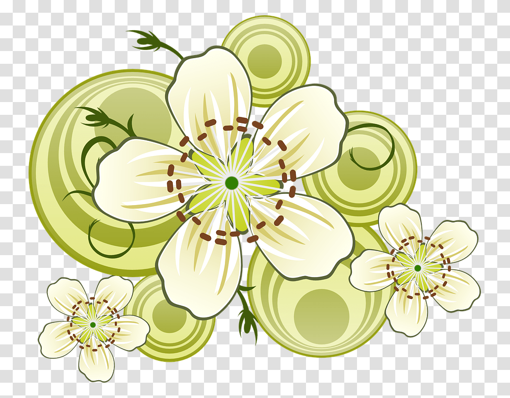 Jasmine, Plant, Chandelier, Lamp, Pollen Transparent Png