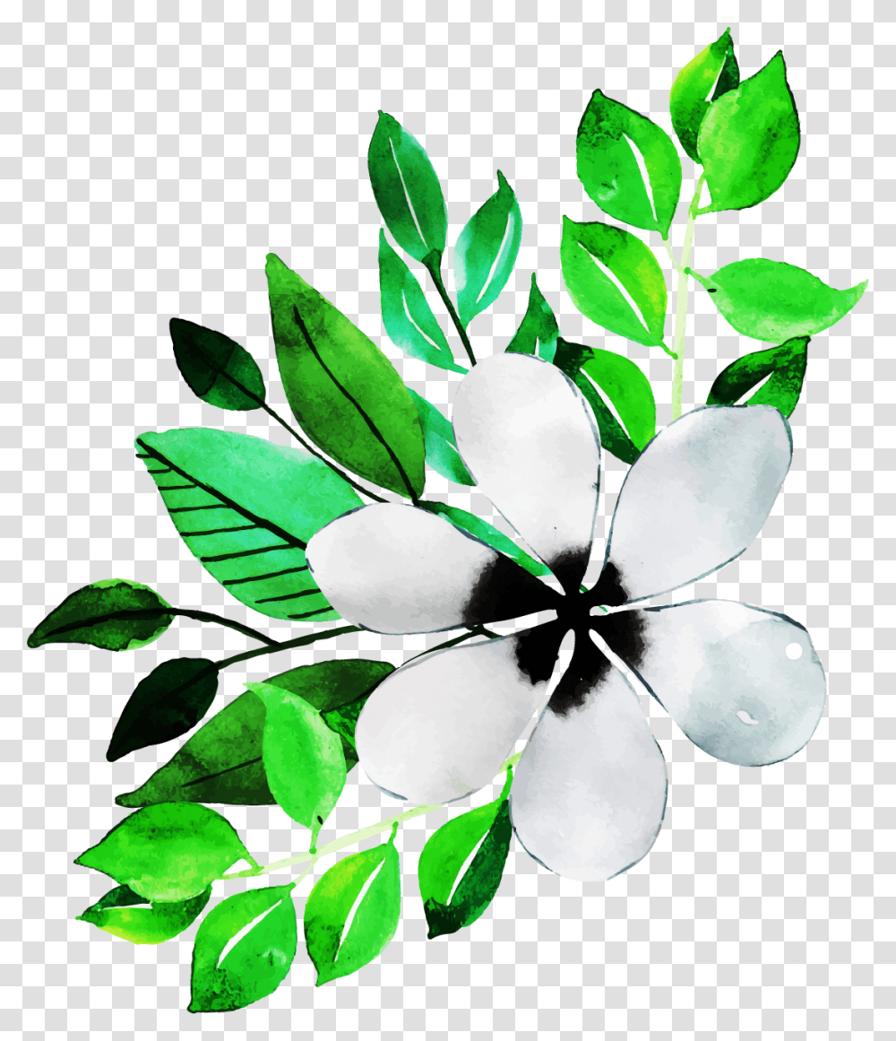 Jasmine, Plant, Leaf, Floral Design, Pattern Transparent Png
