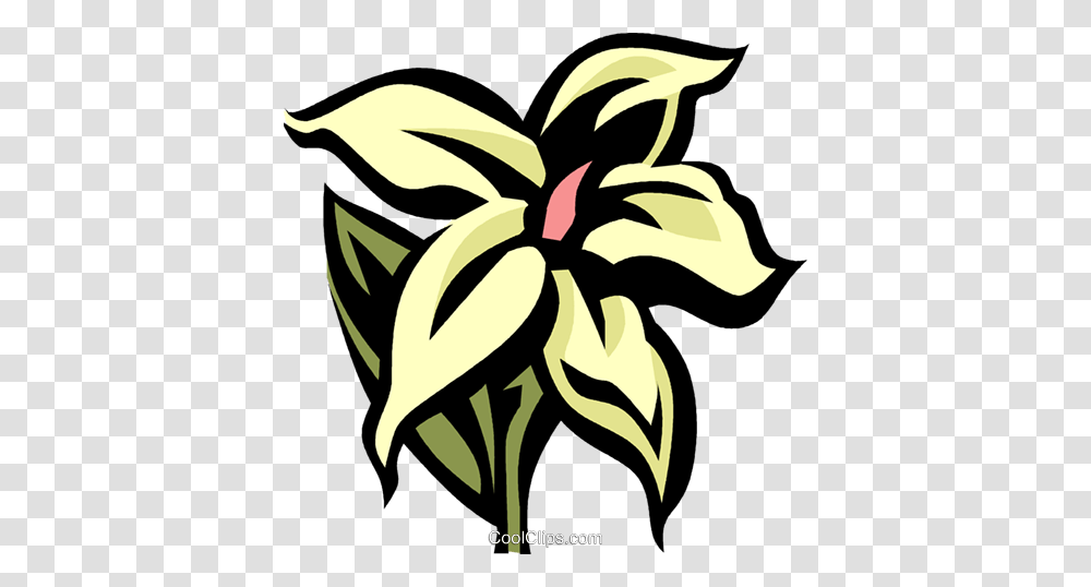 Jasmine Royalty Free Vector Clip Art Illustration, Plant, Flower, Blossom Transparent Png