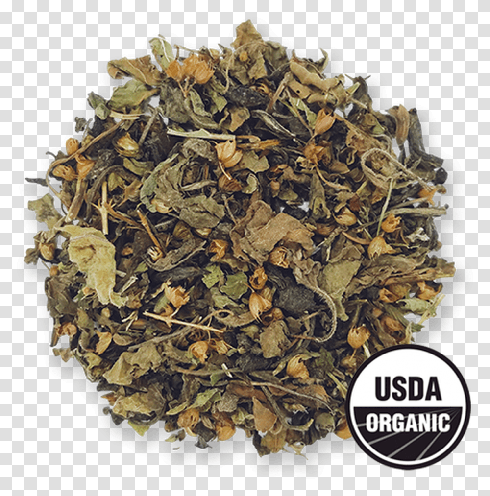Jasmine Tulsi Organic Loose Leaf Green Tea Blend From Usda Organic, Plant, Rug, Painting Transparent Png