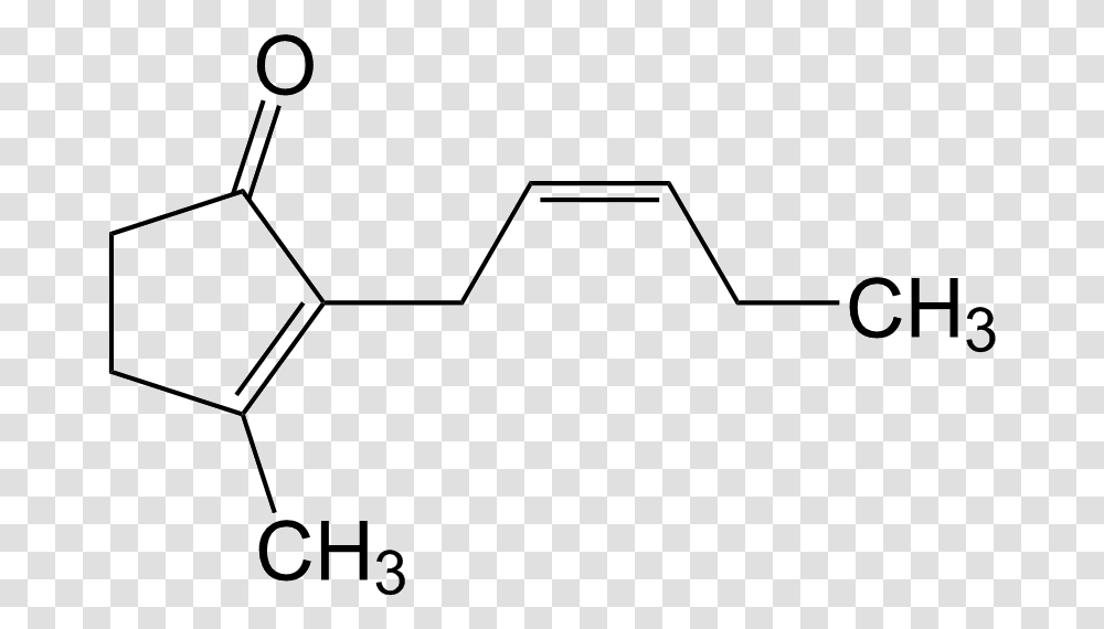 Jasmone Piperonyl Butoxide, Spider Web, Network Transparent Png