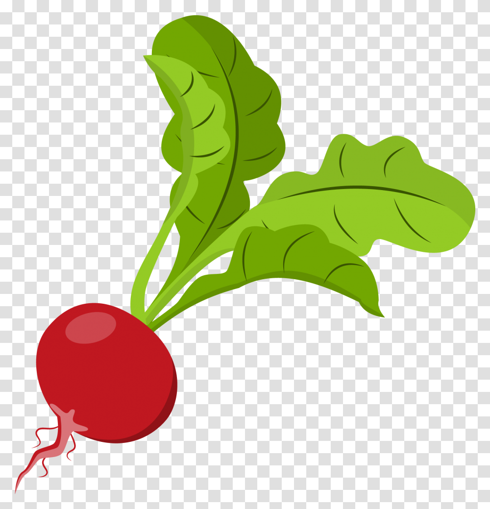 Jason B Graham Beet Greens, Plant, Radish, Vegetable, Food Transparent Png