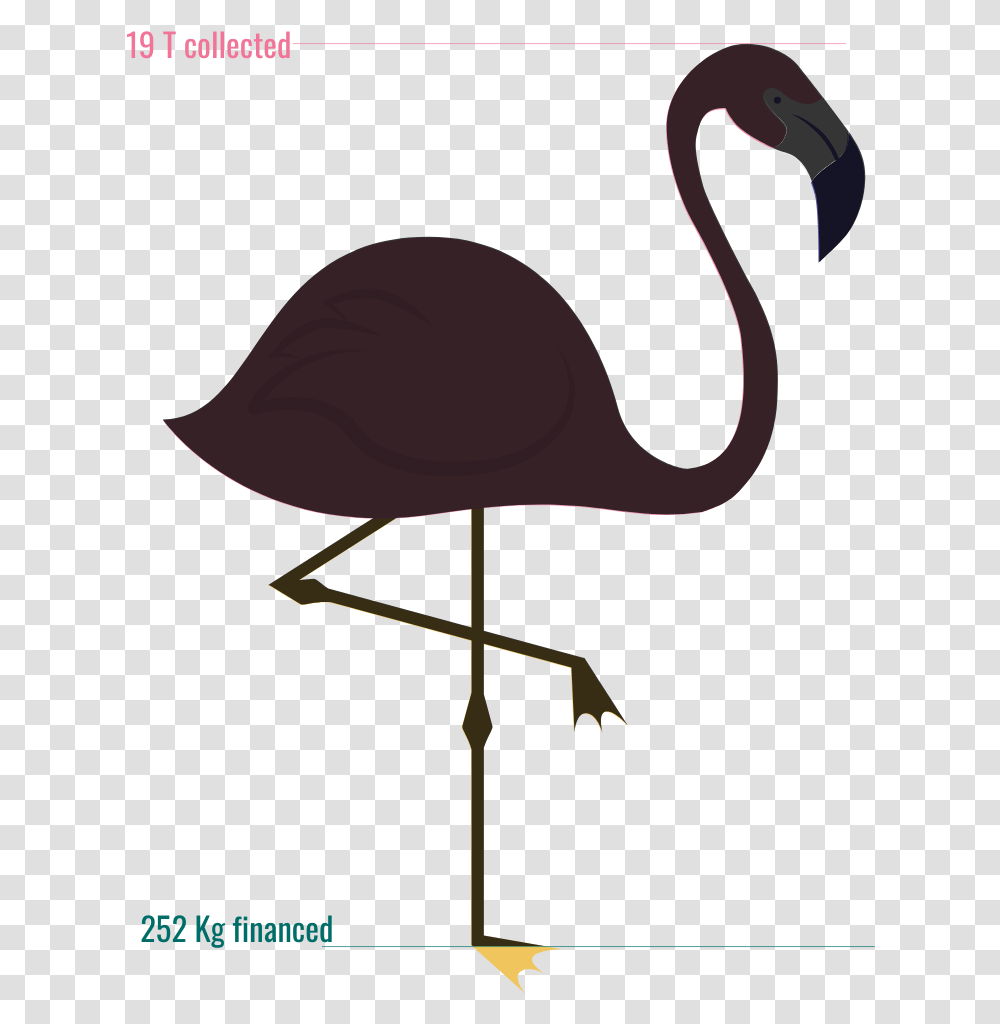Jauge Offre Ind Funny Flamingo Quotes, Lamp, Animal, Bird, Waterfowl Transparent Png