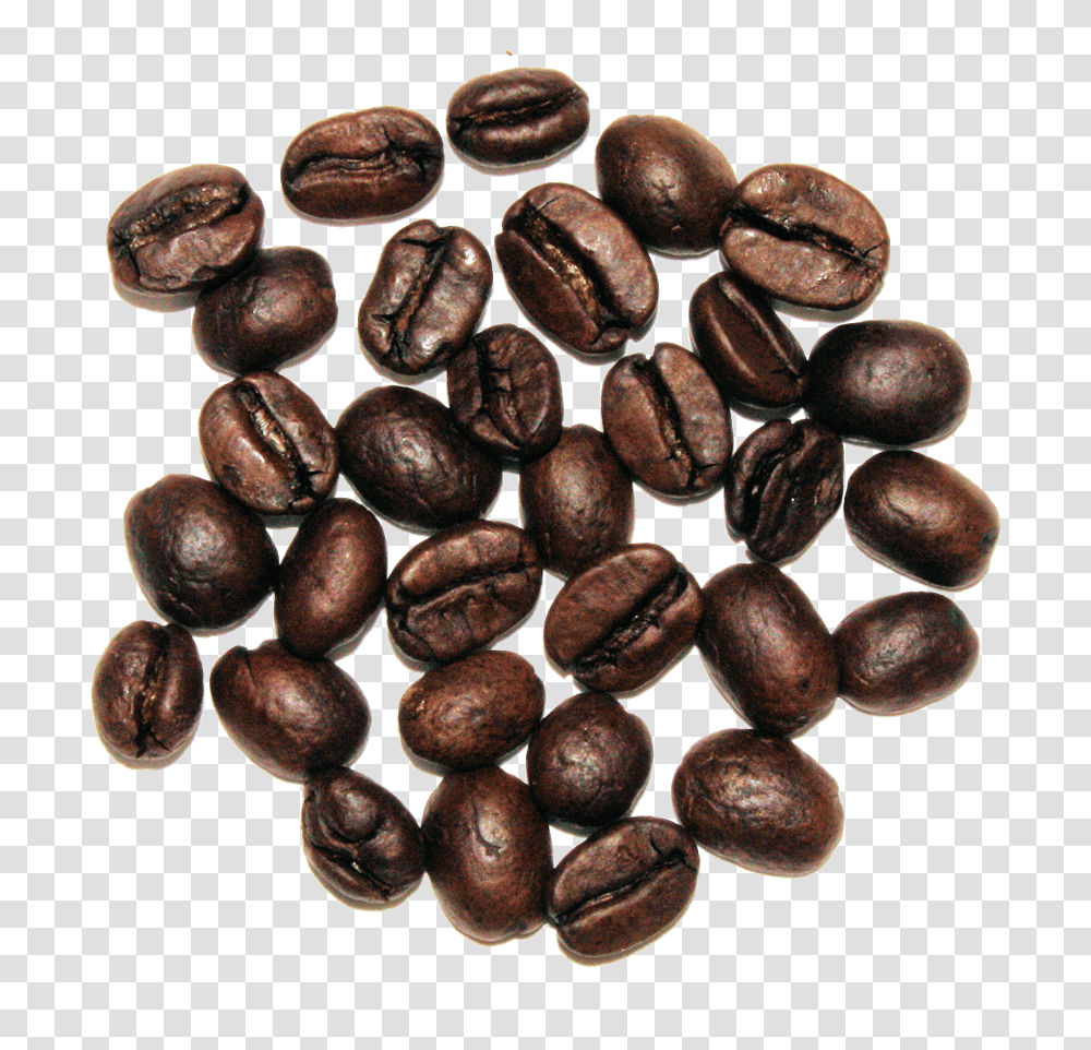 Java Coffee, Plant, Seed, Grain, Produce Transparent Png