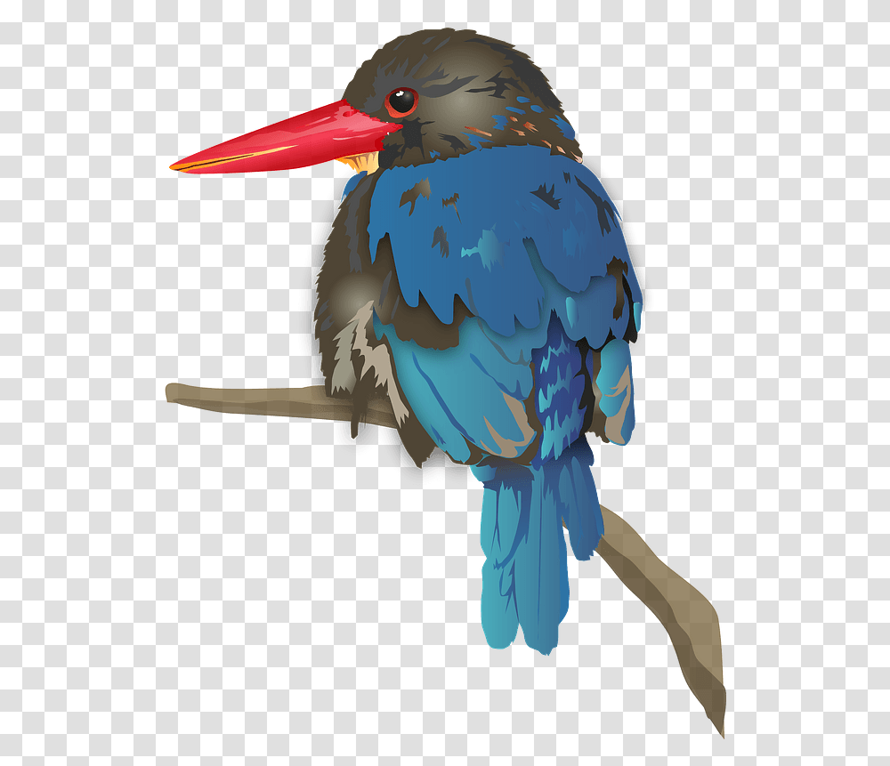 Java Kingfisher Bird Clipart Javan Kingfisher, Jay, Animal, Bluebird, Blue Jay Transparent Png