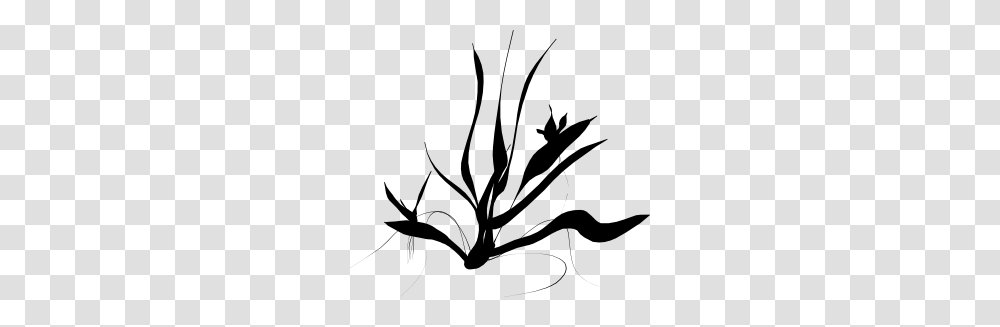 Java Plant Clip Art, Stencil, Leaf, Silhouette Transparent Png