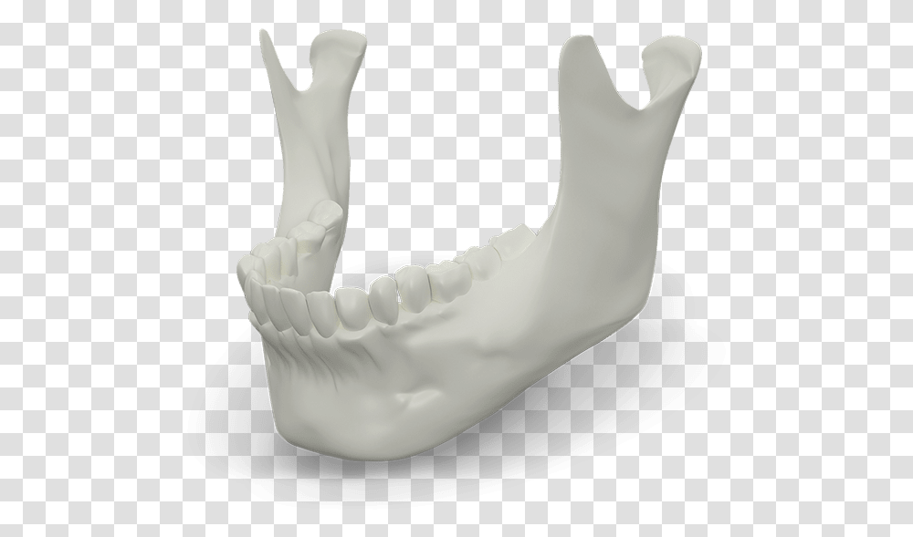 Jaw Bone Model Hand, Teeth, Mouth, Lip, Person Transparent Png