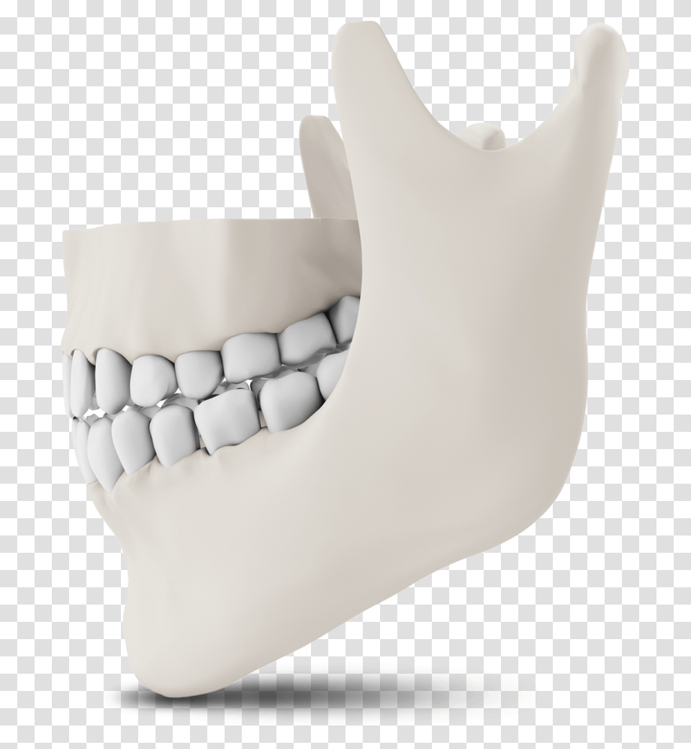 Jaw Bone Model The Oral Surgery Group Chair, Teeth, Mouth, Lip, Diaper Transparent Png