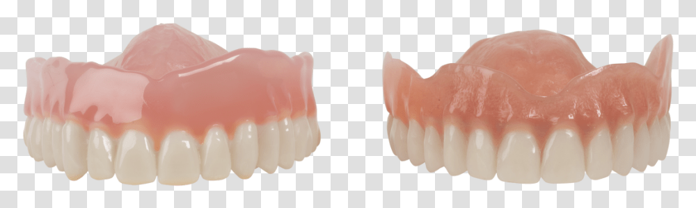 Jaw, Teeth, Mouth, Lip, Fungus Transparent Png