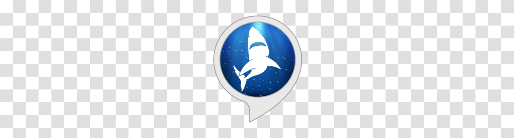 Jaws Converter Alexa Skills, Animal, Sea Life, Mammal, Helmet Transparent Png