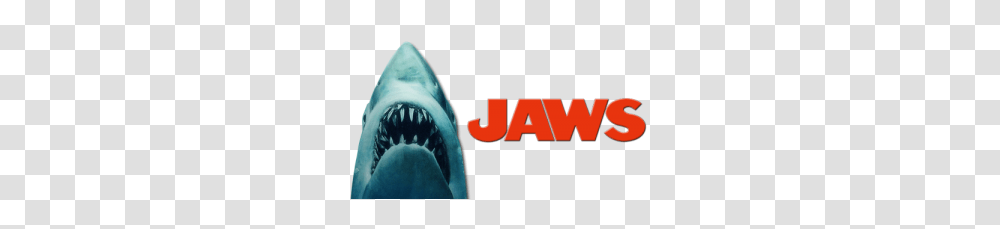 Jaws Image, Animal, Person, Outdoors, Sea Life Transparent Png