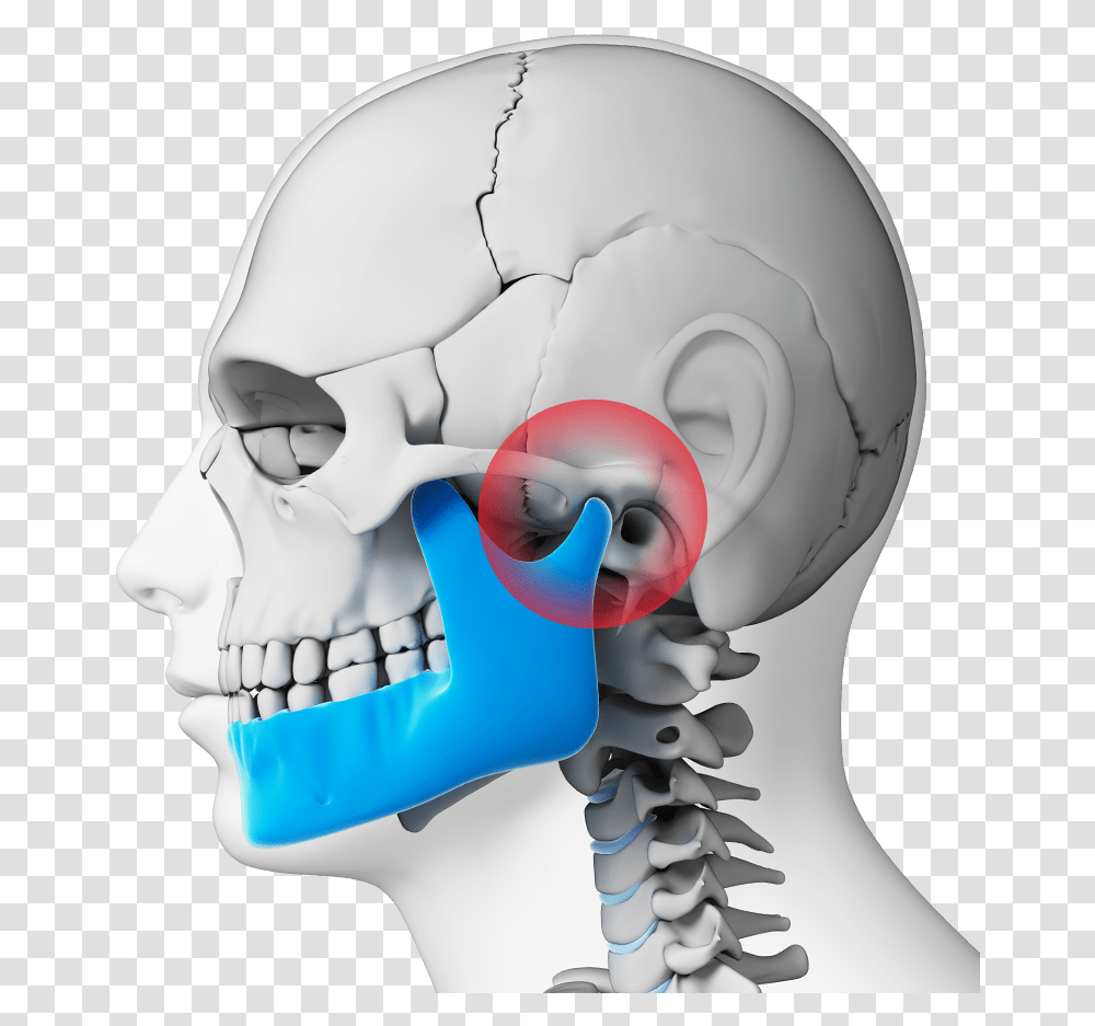 Jaws In Human Body, Toy, Teeth, Mouth, Lip Transparent Png