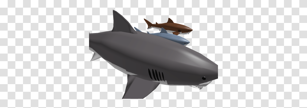 Jaws Needs A Shark Sir Roblox Great White Shark, Fish, Animal, Transportation, Vehicle Transparent Png