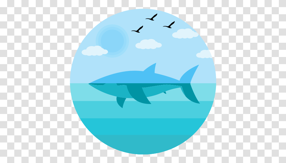Jaws Shark Icons Download Free And Vector Icons Unlimited, Sea Life, Fish, Animal, Bird Transparent Png