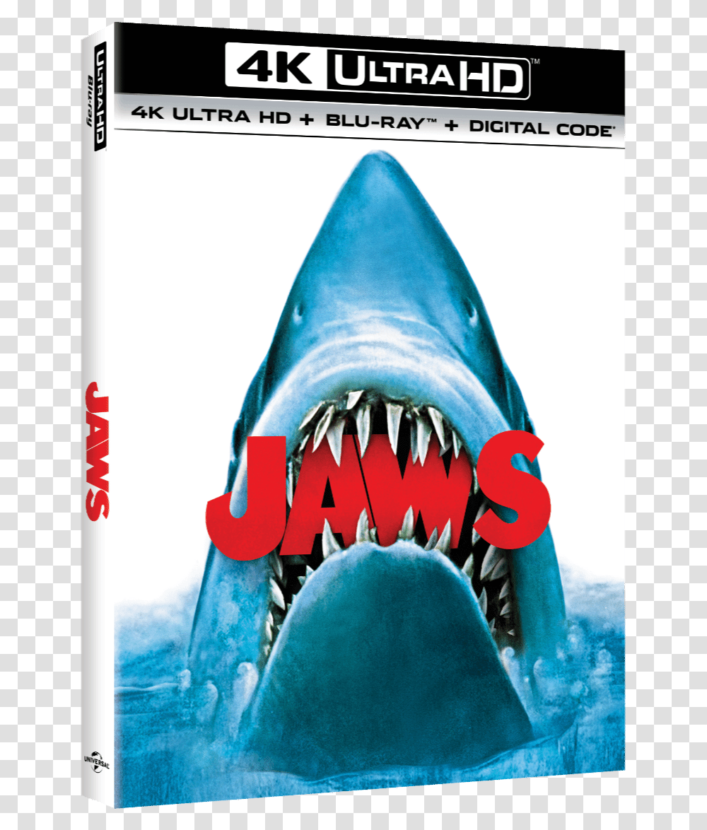 Jaws Will Release On 4k Blu Ray In June Jaws 4k Blu Ray, Animal, Sea Life, Fish Transparent Png