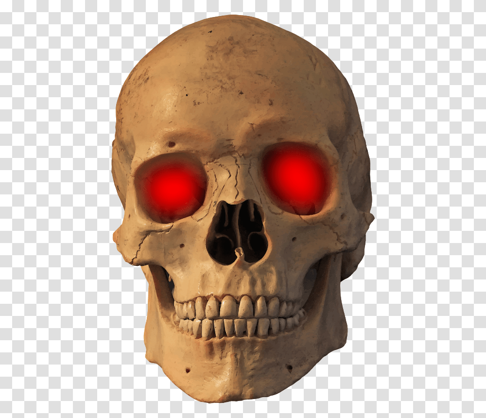 Jawskullbone, Head, Helmet, Apparel Transparent Png