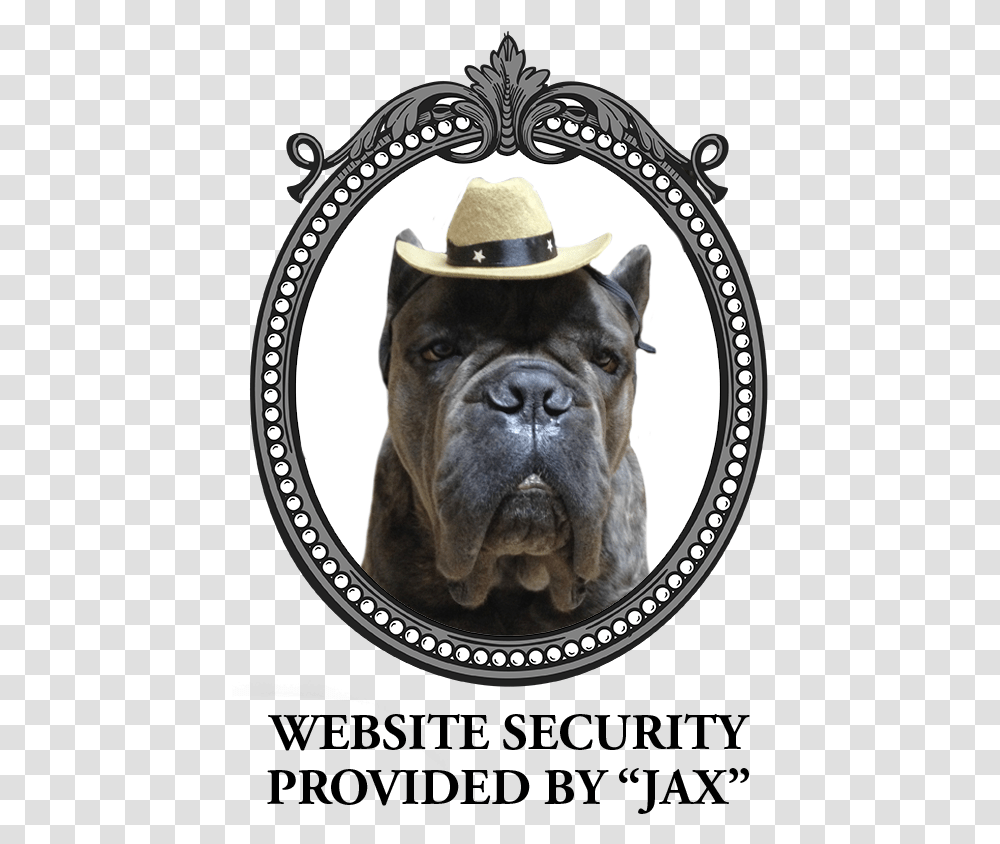 Jax Cane Corso, Apparel, Hat, Bulldog Transparent Png