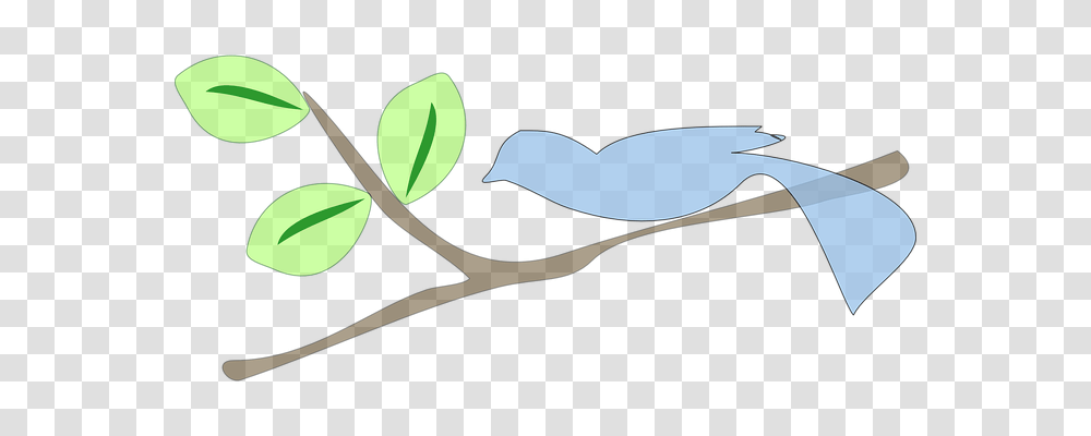 Jay Animals, Scissors, Plant, Flower Transparent Png